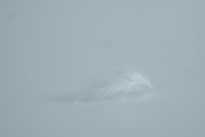 0dbbdc4b2d839d2eb7ec2f28cdb0b0d5_1772431364_4967.png 0dbbdc4b2d839d2eb7ec2f28cdb0b0d5_1772431364_4967.png