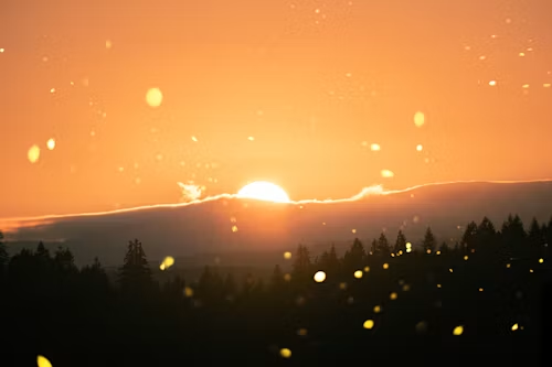 402778f6782aeb896ab18d16d9e6cbe0_1790930801_1407.png 402778f6782aeb896ab18d16d9e6cbe0_1790930801_1407.png