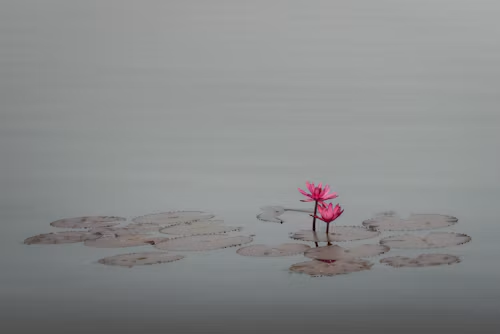 9b5fdaf6ad91fd1f7dbe7531884cbe8f_1792746945_7365.png