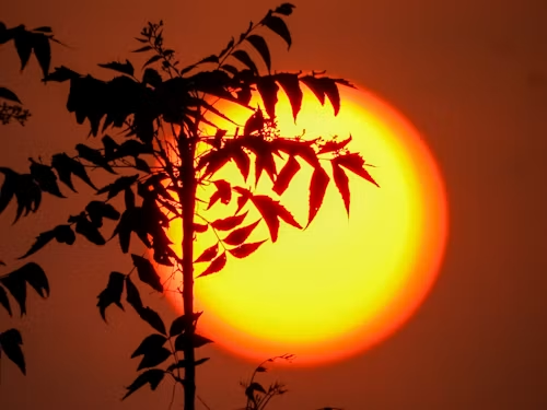 9bdd5c235abfe2162a99b6b19f5be133_1791277512_987.png